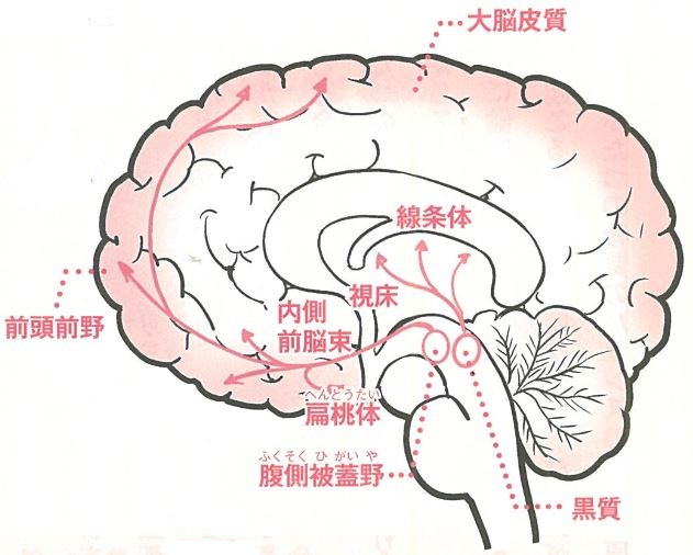 QuickQ官网｜让每一次连接都更轻快安全 低延迟加速节点
